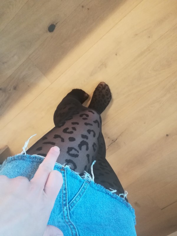 Foxxyylady feetworship perfectlegs