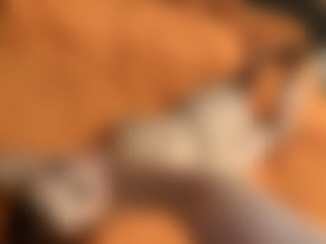 SophiaSinclair fishnets pawg